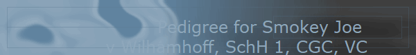 Pedigree for Smokey Joe 
v Wilhamhoff, SchH 1, CGC, VC